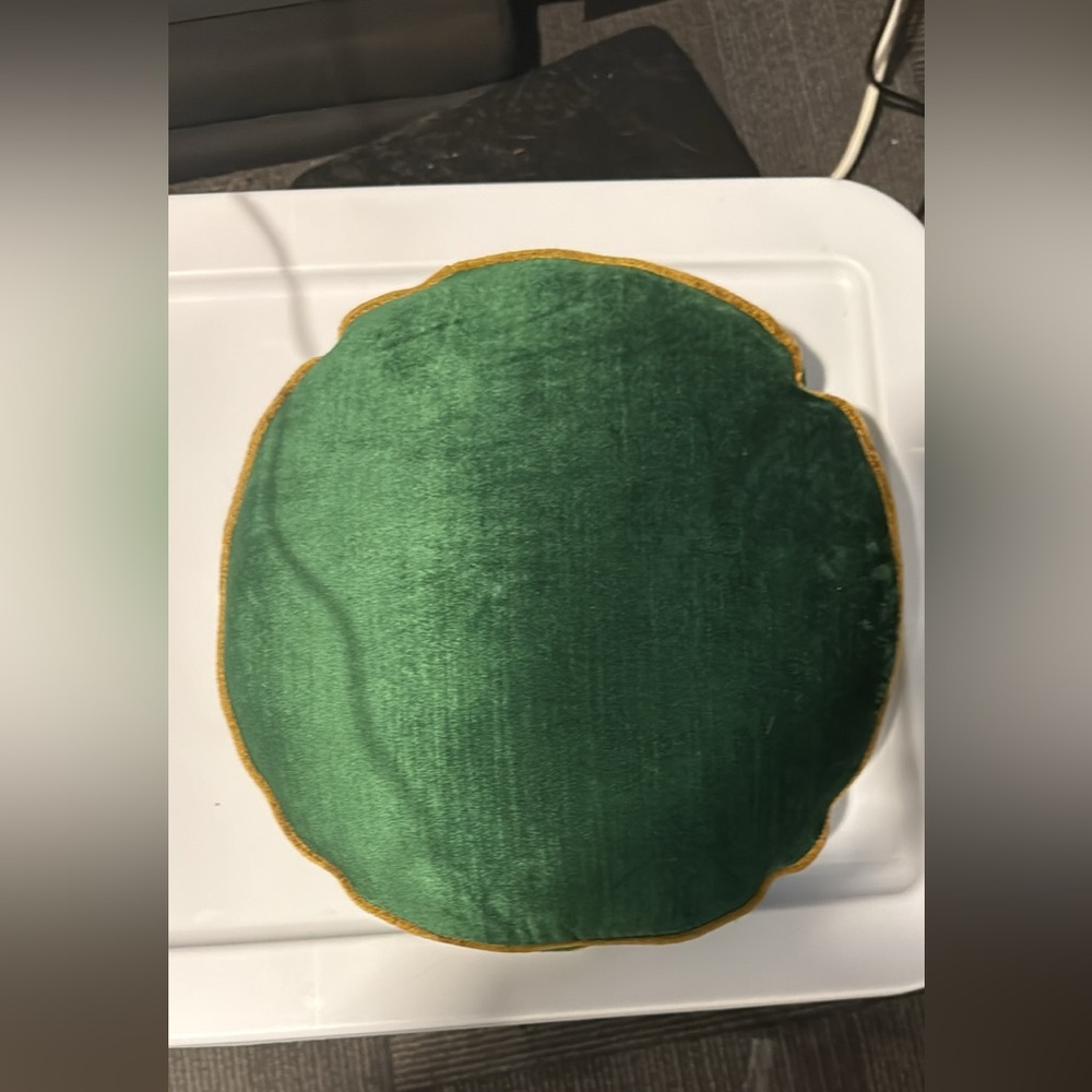 NWOT Anthropologie Velvet Round Pillow